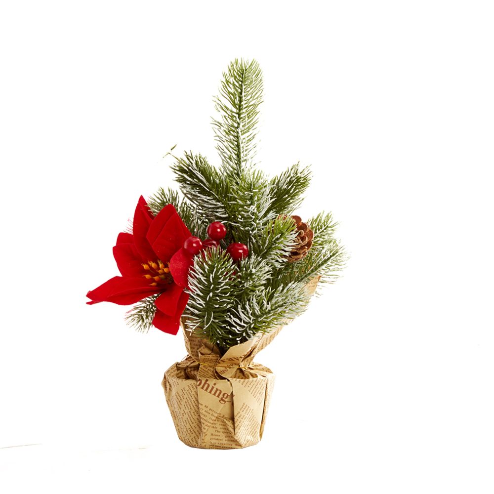 carols_christmas_tree_baya_7300014